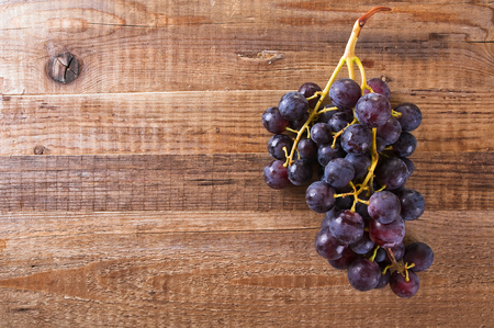 Grapes.の写真素材