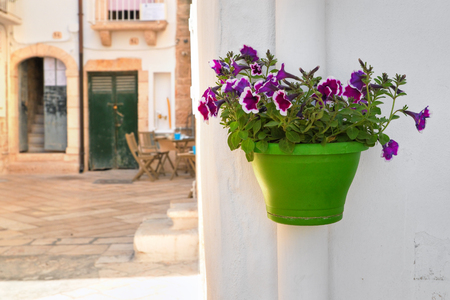 Alleyway. Polignano a mare. Puglia. Italy.の写真素材