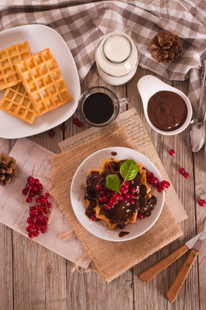 Waffle with red currant and chocolate topping on white dish.の写真素材