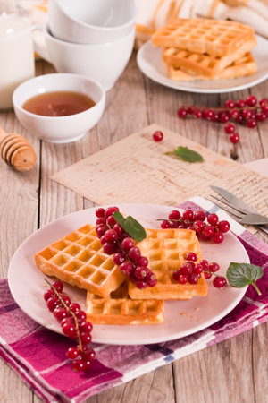 Waffles red currant and mint.の写真素材
