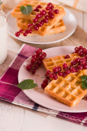 Waffles red currant and mint.の写真素材