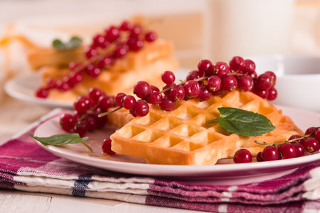 Waffles red currant and mint.の写真素材
