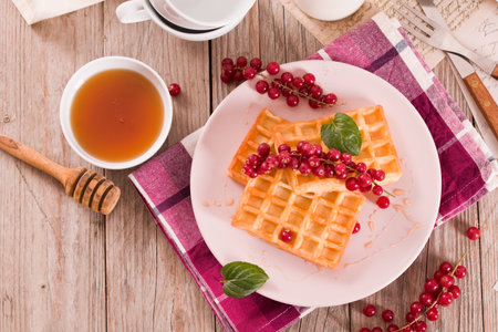 Waffles red currant and mint.の写真素材