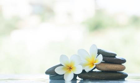 spa set of two flowers and stones for massage treatment with sunlightの写真素材