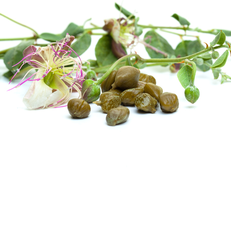 Bunch of capers on white backgroundの写真素材
