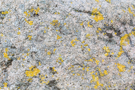 Abstract blurred stone background with mossの写真素材