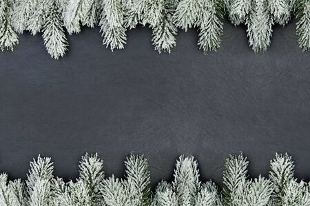 Christmas tree branch border on black, flat lay top view. Green fir twig on dark background with...