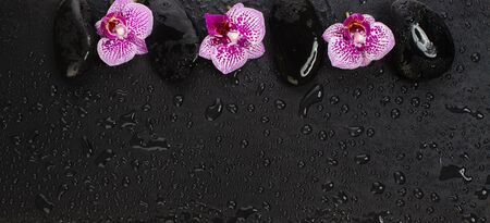 Massage stones and pink orchid flowers with water drops, spa and wellness conceptの写真素材