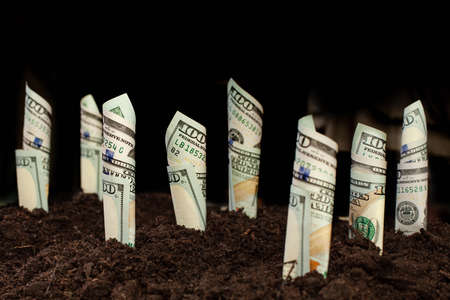 US dollars banknote cash money growing up on the field on blackの写真素材