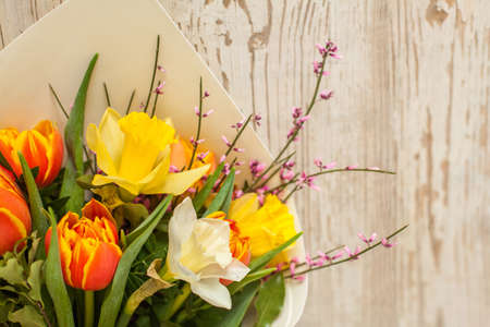 Beautiful flowers tulips and daffodils on white vintage wooden background with copy space, floral...