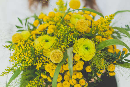 Beautiful yellow flower and green leaves on white backgroundの写真素材