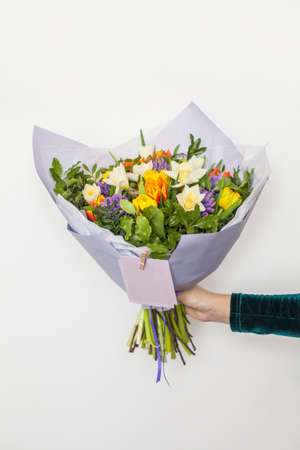 Hyacinths, yellow and orange tulips and white daffodils flowers in hand on whiteの写真素材