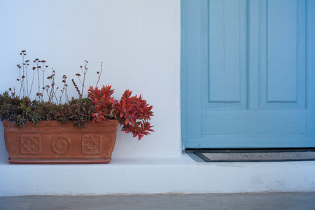 White stucco wall, flowers and blue door. Minimal holiday backgroundの写真素材
