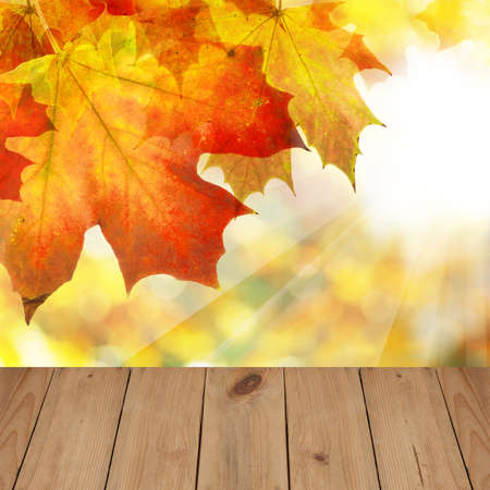 Wooden board and autumn border of maple leaves with golden bokeh background