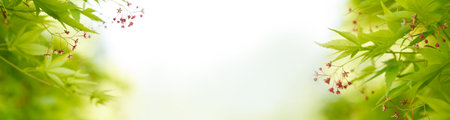 Natural leaves green plants on light sky banner background, environment ecology or greenery...