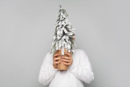 Artificial Christmas tree spruse with snow in hands against gray studio wall banner background. Merry Christmas or Happy New Year card conceptの写真素材