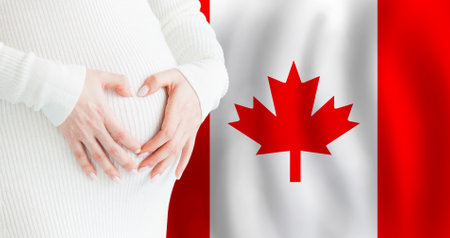 Demographics, pregnancy and love baby in Canada concept. Pregnant woman making heart against her stomach on Canadian flag background.の写真素材