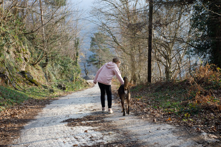 Child girl walking with dog in the parkの写真素材