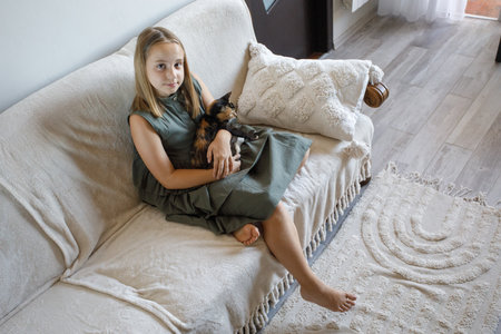 Cute child gently embraces a fluffy cat sitting on a sofa. Domestic pet and young girl indoorの写真素材