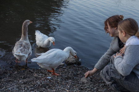 Cheerful woman and child with birds in park. Happy familyの写真素材