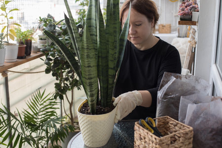 Planting. Mid adult woman holding green houseplant in her hand standing indoor. Gardening, relaxation and planting conceptの写真素材