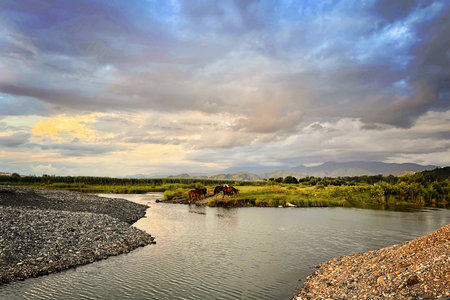 Majestic landscape with sunset sky, clouds, river, meadow, field and horsesの写真素材