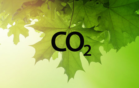 Carbon Dioxide CO2 black letters on green leaves backgroundの写真素材