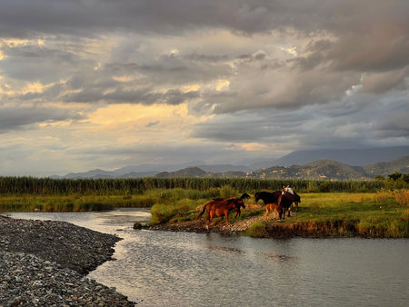 Sky cloud, river, mountains and horses on grass meadowの写真素材