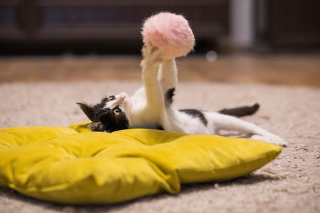 Adorable kitten playing pink fluffy ball at home. Young cat portrait