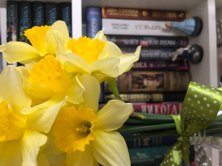 Yellow daffodils on a bookshelf with books.の写真素材