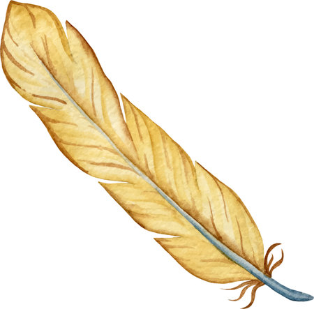 Watercolor feather vector illustrationのイラスト素材