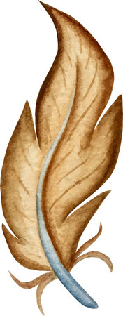 Watercolor feather vector illustrationのイラスト素材