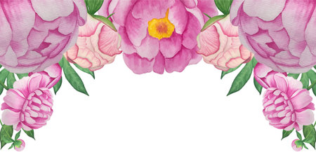 Pink peony flowers in watercolor style on a white background. vector illustrationのイラスト素材