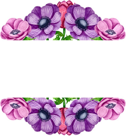 Watercolor vector illustration of anemone flowers. isolated on white background.のイラスト素材