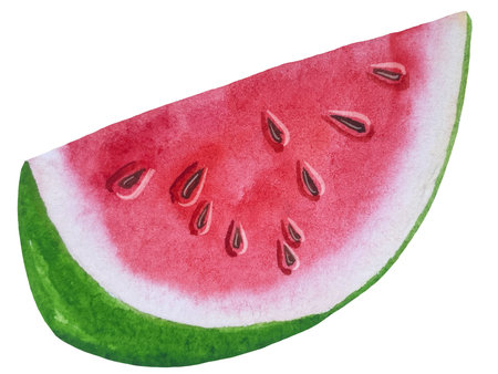 A watercolor illustration of a juicy, fresh watermelon slice, showcasing its vibrant red flesh and green rind.の写真素材