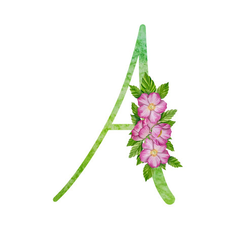 Alphabet, floral set letters with watercolor painting flowers roses and leaves. Isolated monogram initials perfect for wedding invitationsのイラスト素材