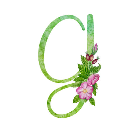 Alphabet, floral set letters with watercolor painting flowers roses and leaves. Isolated monogram initials perfect for wedding invitationsのイラスト素材