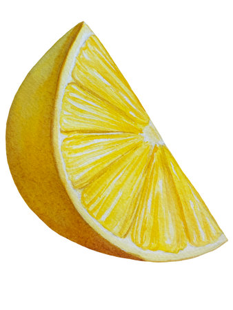 Sliced lemon isolated on white background. Watercolor illustration.の写真素材