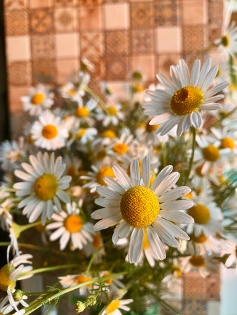 Beautiful chamomile flowers in vase close upの写真素材