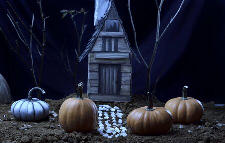 Pumpkins placed on a ground base in the background a cardboard house painted with acrylic, low saturation and cold temperature.の写真素材