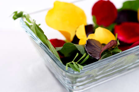 Salad with rose petals, including rose leaves, lentils and beans, and wild leaves.の写真素材