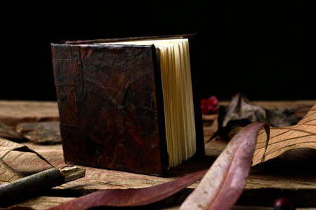 Notebook placed vertically in an imitation leather design, old style, decorated with still life that are leaves and wooden stick, placed on a wooden base.の写真素材