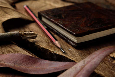 Notebook with an imitation leather design, old style. Decorated with a drawing pencil and still life such as leaves and a wooden stick.の写真素材