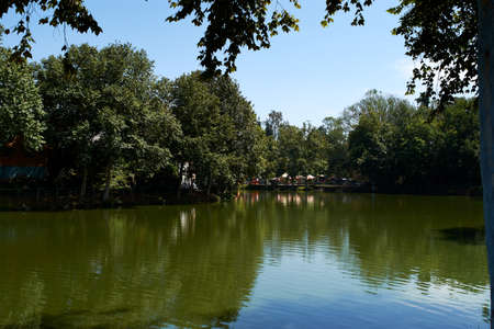 Lake surrounded by trees and games in the backgroundの写真素材