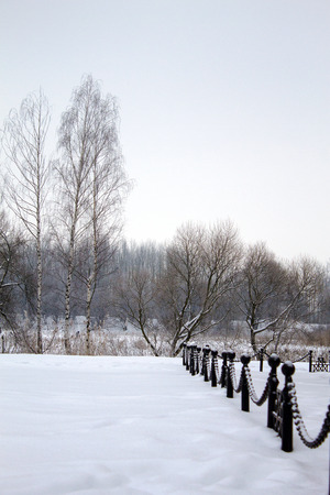 Winter landscape in the city park,trees in the snow, the branches covered with frost.の写真素材