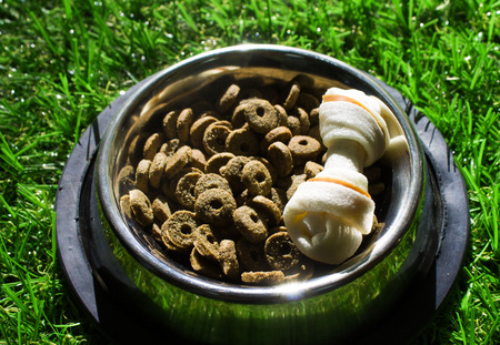 Forage and treats for dogs in a metal bowl, on a green backgroundの写真素材