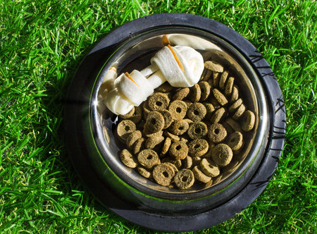 Forage and treats for dogs in a metal bowl, on a green backgroundの写真素材