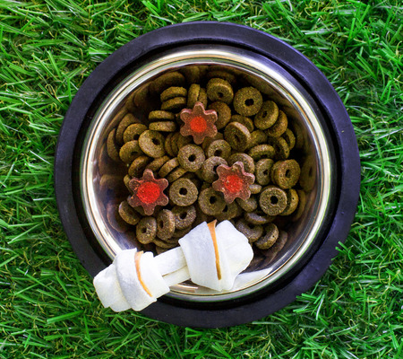 Forage and treats for dogs in a metal bowl, on a green backgroundの写真素材