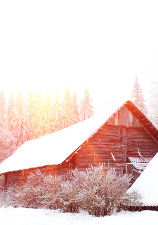 Winter landscape. Sunny day outside the city.の写真素材