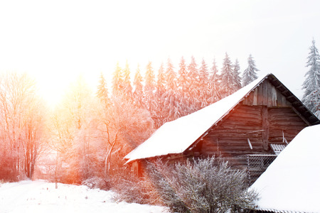 Winter landscape. Sunny day outside the city.の写真素材